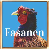Amarna - Fasanen