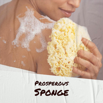Various Artists - Prosperous Sponge