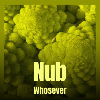 Various Artists - Nub Whosever