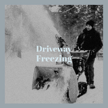 Various Artists - Driveway Freezing