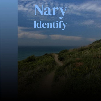 Various Artists - Nary Identify