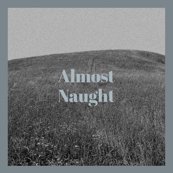 Various Artists - Almost Naught