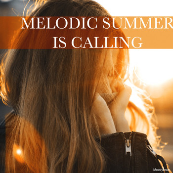 Various Artists - Melodic Summer Is Calling