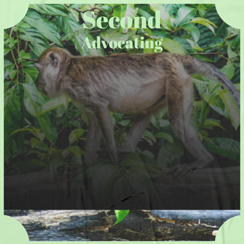Various Artists - Second Advocating