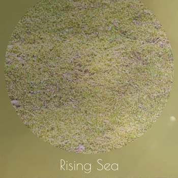 Various Artists - Rising Sea