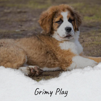 Various Artists - Grimy Play