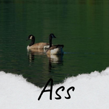 Various Artists - Ass