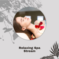 William Lall - Relaxing Spa Stream