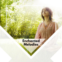 Austin Jones - Enchanted Melodies