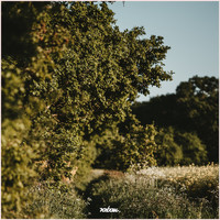 Raban - Aura