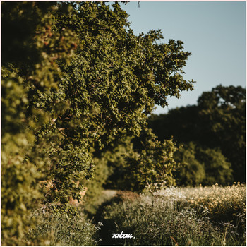 Raban - Aura
