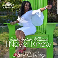 Dawn Souluvn Williams - I Never Knew