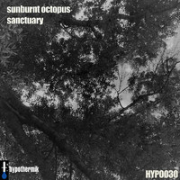 Sunburnt Octopus - Sanctuary