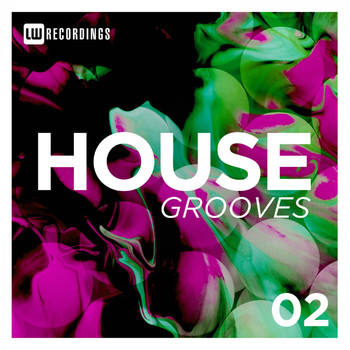 Various Artists - House Grooves, Vol. 02