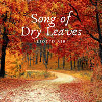 Liquid Air - Song of Dry Leaves