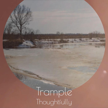 Various Artists - Trample Thoughtfully
