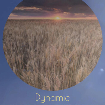 Various Artists - Dynamic