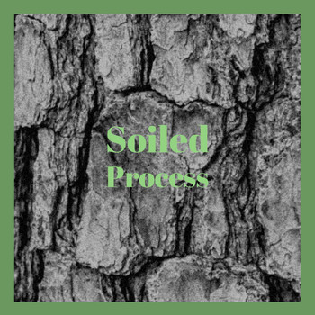 Various Artists - Soiled Process