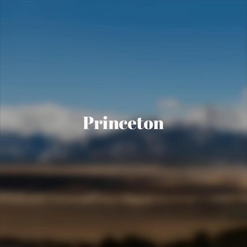 Various Artists - Princeton