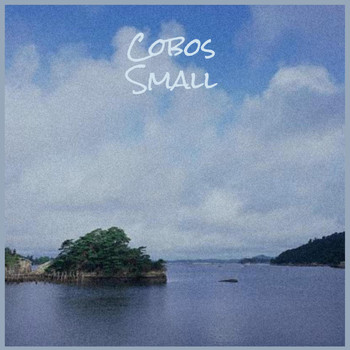 Various Artists - Cobos Small