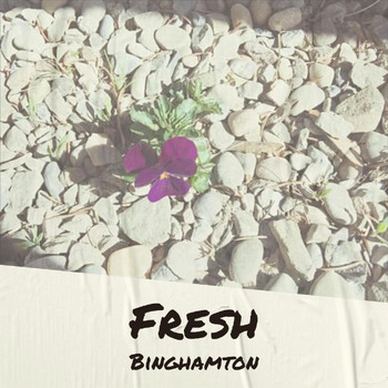 Various Artists - Fresh Binghamton