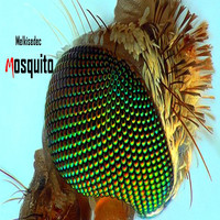Melkisedec - Mosquito