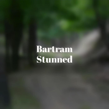 Various Artists - Bartram Stunned