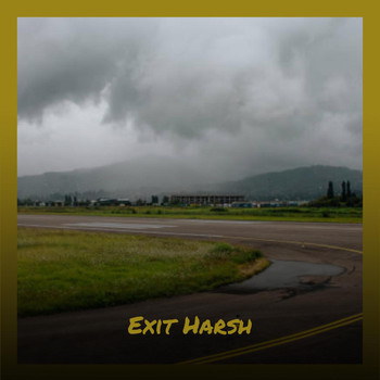 Various Artists - Exit Harsh
