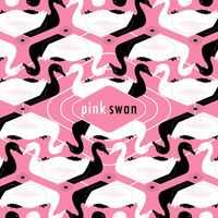 Pink Swan - Back Home