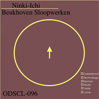 Beukhoven Sloopwerken - Ninki-Ichi