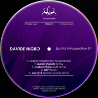 Davide Nigro - Spatial Introspection
