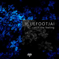 Bluefootjai - Catch The Feeling
