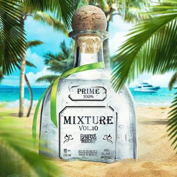 Various Artists - Mixture Vol.10