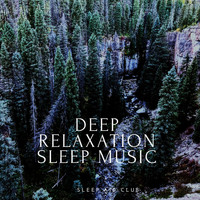 Sleep Aid Club - Deep Relaxation Sleep Music, Fall Asleep Faster