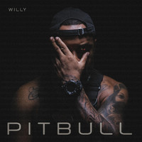 Willy - Pitbull