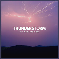 Thunderstorm Global Project from TraxLab - Thunderstorm in the Woods