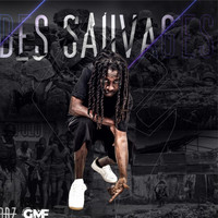 Drz - Des Sauvages (Explicit)