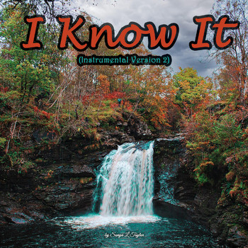 Sonya L Taylor - I Know It (Instrumental Version 2)