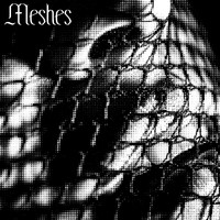 Meshes - Meshes (Explicit)