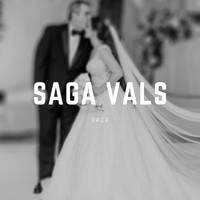 Guillermo Garcia - Saga Vals (Live)