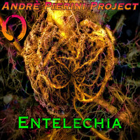 André Pierini Project - Entelechia