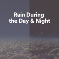 Day & Night Rain - Rain During the Day & Night