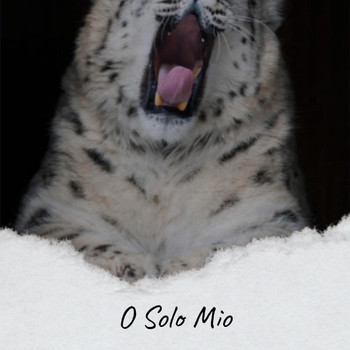 Various Artist - O Solo Mio