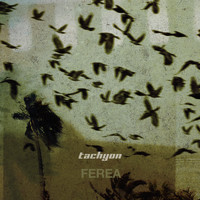 Tachyon - Ferea
