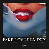Antent - Fake Love (Remixes)