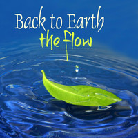 Back to Earth - The Flow