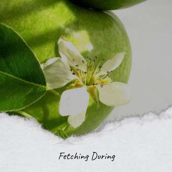 Various Artists - Fetching During