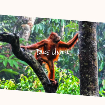 Various Artists - Take Until