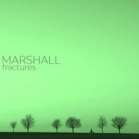 Marshall - Fractures