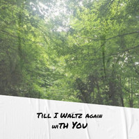 Various Artist - Till I Waltz Again with You
